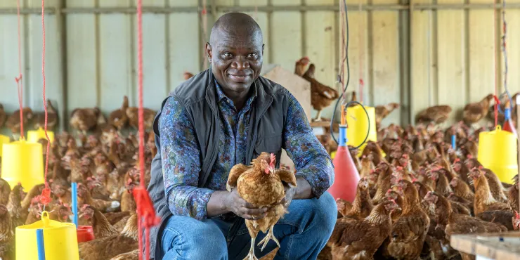 Poulet de chair : le Gabon prépare sa défense face à la démarche américaine auprès de l’OMC