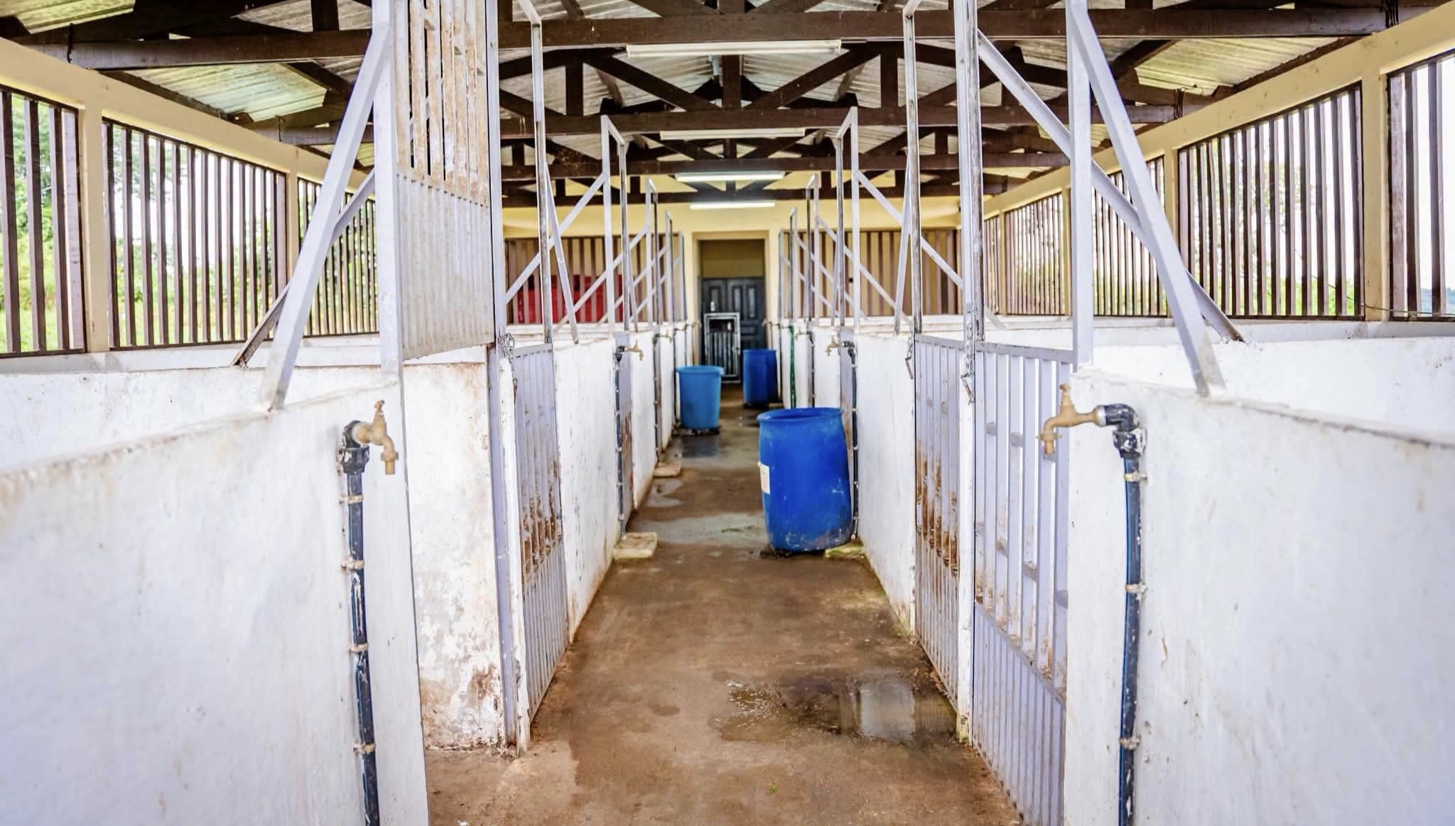 Souveraineté agricole à Oyem : l'ENDR s'apprête à sceller l'avenir de l'élite rurale gabonaise