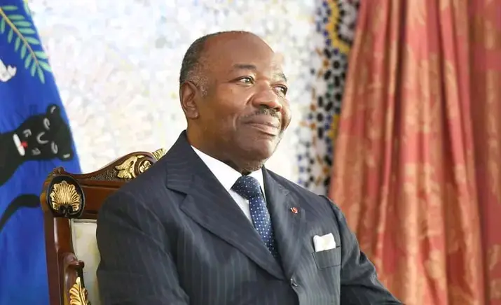 Rivalités partisanes et déconnexion politique : l'ombre encombrante d'Ali Bongo Ondimba face à la restructuration du PDG