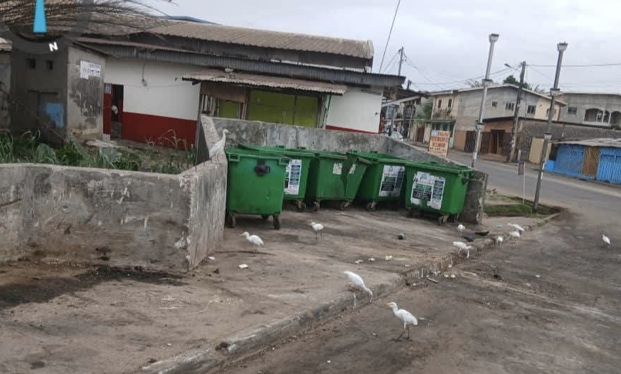 Environnement : Clean Africa intervient à Dragages pour nettoyer un Point d'Apport Volontaire saturé par les déchets du marché