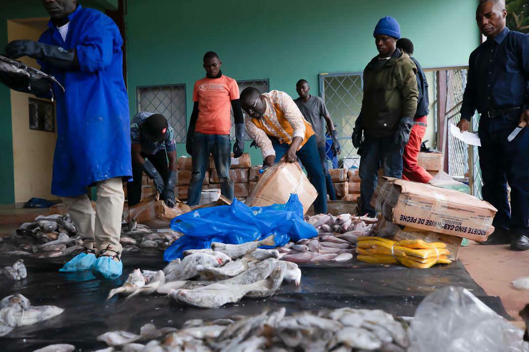 Makokou en fête : la foire itinérante aux poissons s'invite au cœur des célébrations de la Libération