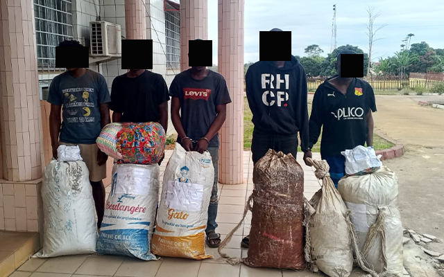Mabanda : Cinq orpailleurs interpellés avec 66 kg de cannabis et plus de 1 000 comprimés de Tramadol d'une valeur globale de 10 052 500 francs CFA