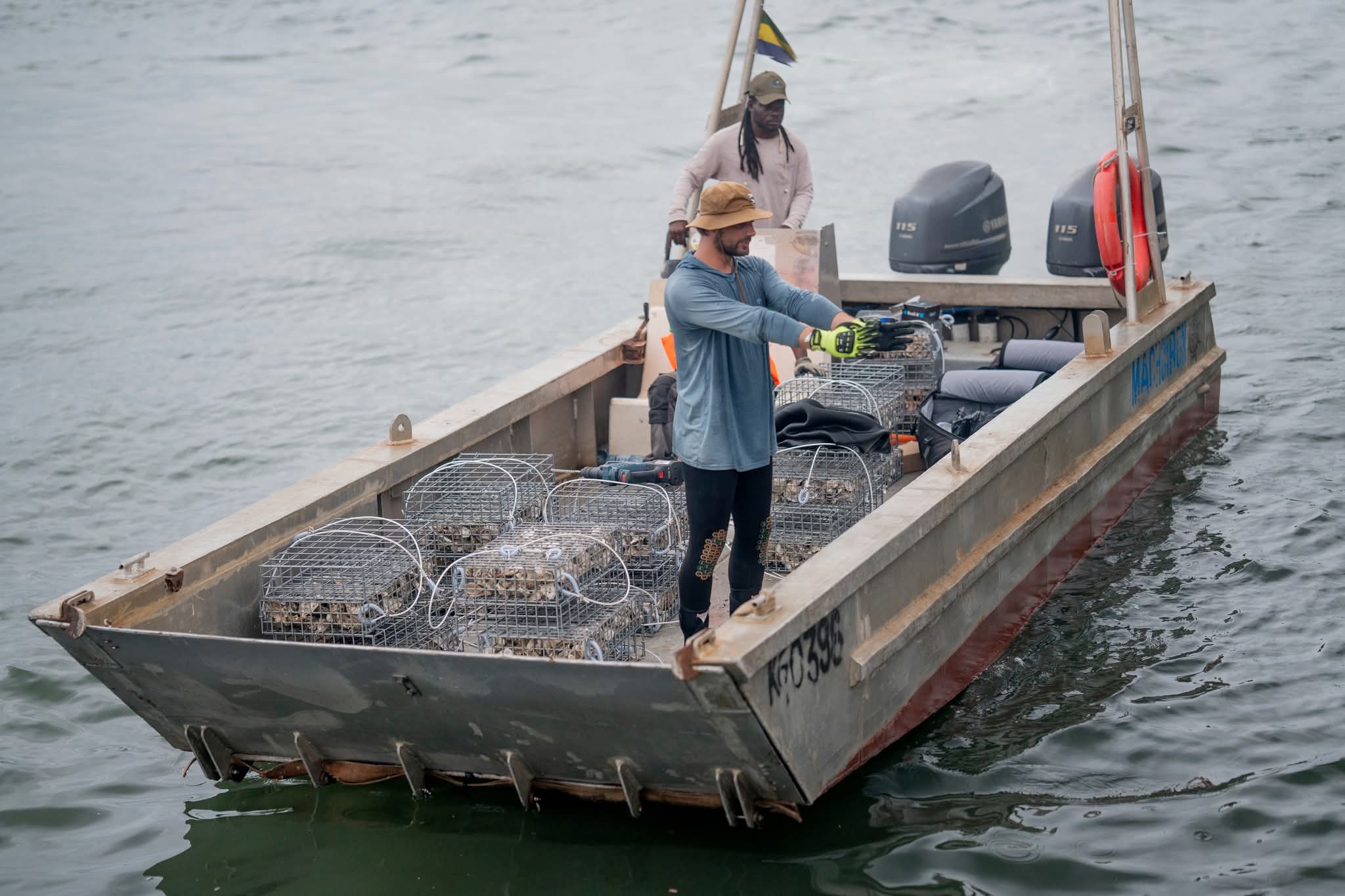 La Baie des Rois : la FMCT et Éco Océan immergent des récifs artificiels pour concilier aménagement urbain et biodiversité marine