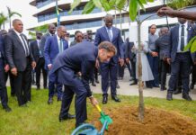Bassin du Congo : Macron et Oligui Nguema appellent à une mobilisation mondiale pour les forêts