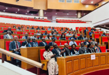 Parlement gabonais : le malaise d’une législature sur des fondements juridiques incertains