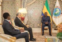 Audience au Palais Rénovation : La BAD réaffirme son soutien au Gabon et à ses projets structurants