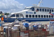 Transport maritime : le Victoria Jet reprend la mer après une mise à niveau technique