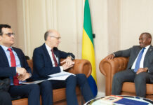 Gabon-Turquie : L’axe Libreville-Ankara passe à la vitesse supérieure