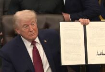 Santé Mentale aux USA : Washington mise sur la « Révolution Psychédélique » via des composés comme l’ibogaïne du Gabon