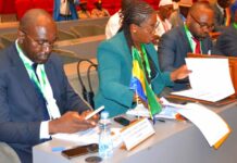 Diplomatie institutionnelle : Le Gabon accède à la vice-présidence de la nouvelle conférence des Conseils économiques d’Afrique centrale