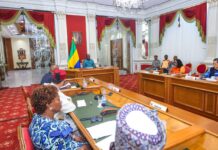 Oligui Nguema plaide pour une Afrique forte et solidaire devant les ambassadeurs africains