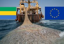 Souveraineté halieutique : Le Gabon rompt son accord de pêche avec l’Union européenne