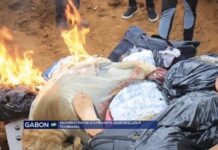 Tchibanga : incinération spectaculaire de stupéfiants d’une valeur marchande estimée à plus de 100 millions de FCFA