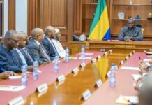 Filière avicole : Oligui Nguema mise sur un projet industriel pour faire du Gabon un champion du poulet