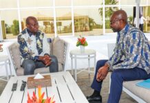 Diaspora gabonaise : la nouvelle représentation parlementaire au cœur des échanges avec le chef de l’État